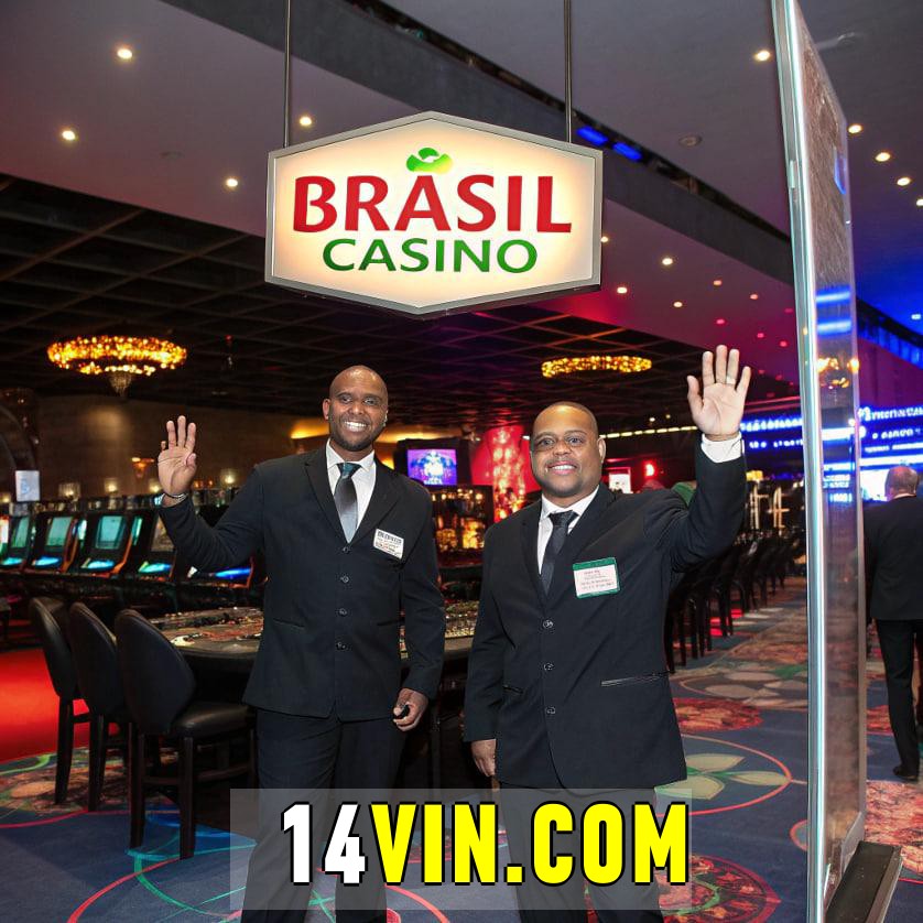 14vin: Jogos de mesa ao vivo para jogadores brasileiros